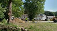 site-811-tree-removal