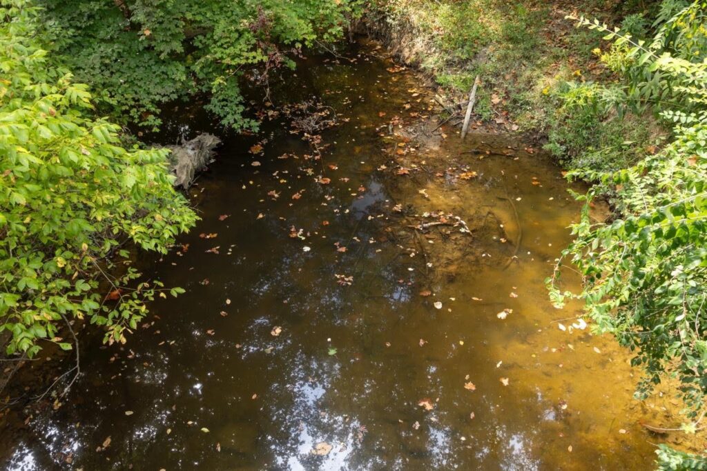 Creek near the Geodesic Site at SIU Carbondale during a drought in September 2025