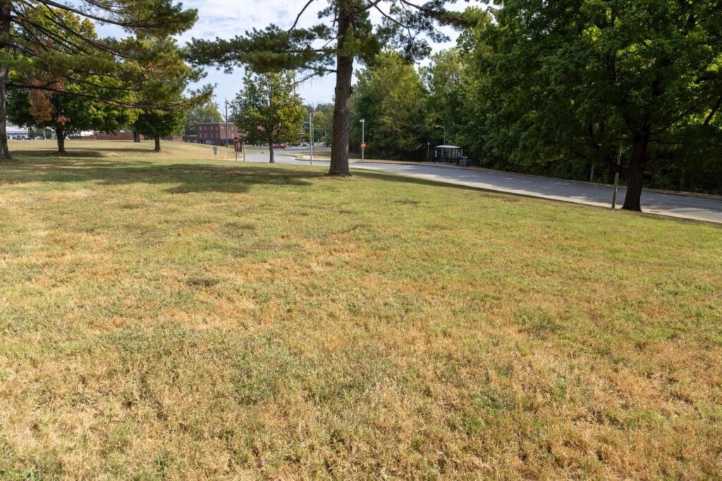 Grassy area near Schneider Hall marking the approximate location of the prehistoric village at SIU Carbondale
