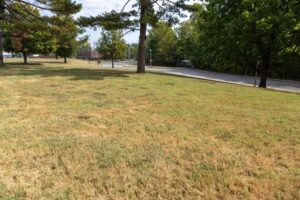 Grassy area near Schneider Hall marking the approximate location of the prehistoric village at SIU Carbondale