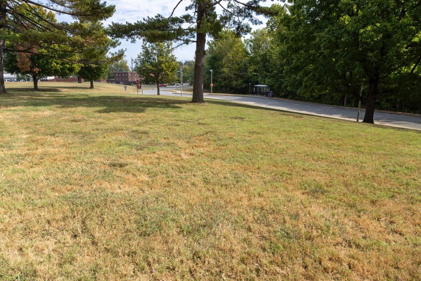 Grassy area near Schneider Hall marking the approximate location of the prehistoric village at SIU Carbondale
